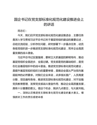 国企书记在党支部标准化规范化建设推进会上的讲话