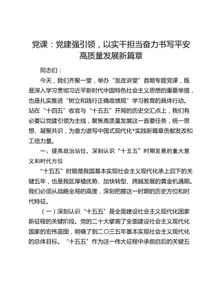 党课：党建强引领，以实干担当奋力书写平安高质量发展新篇章