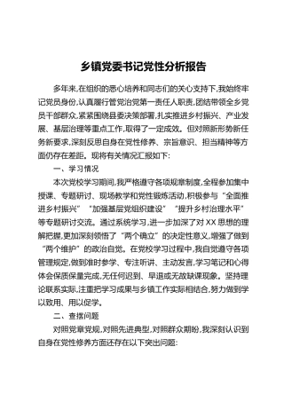 乡镇党委书记党性分析报告