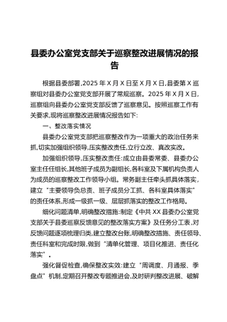 县委办公室党支部关于巡察整改进展情况的报告