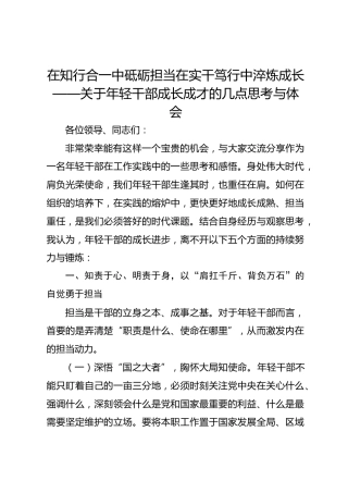 在知行合一中砥砺担当 在实干笃行中淬炼成长——关于年轻干部成长成才的几点思考与体会
