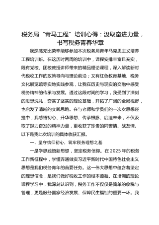 税务局“青马工程”培训心得：汲取奋进力量，书写税务青春华章