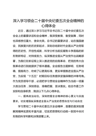 深入学习领会二十届中央纪委五次全会精神的心得体会