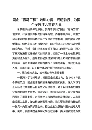 国企“青马工程”培训心得：砥砺前行，为国企发展注入青春力量