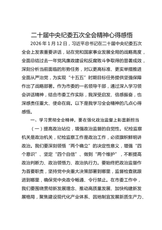 二十届中央纪委五次全会精神心得感悟