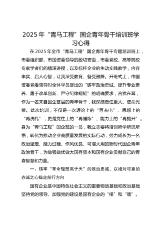 2025年国企“青马工程”培训班学习心得