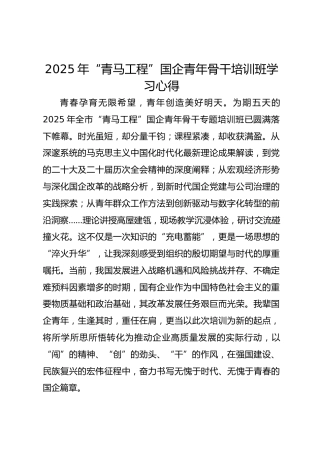 2025年“青马工程”国企青年骨干培训班学习心得