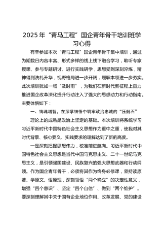 2025年“青马工程”国企青年干部培训班学习心得