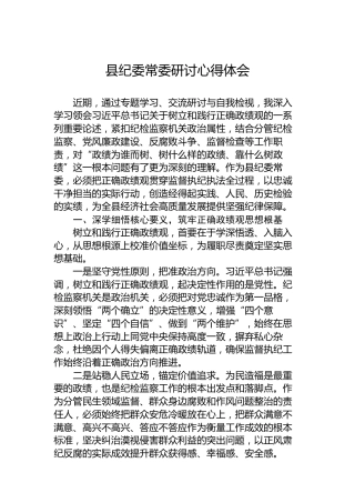 县纪委常委研讨心得体会