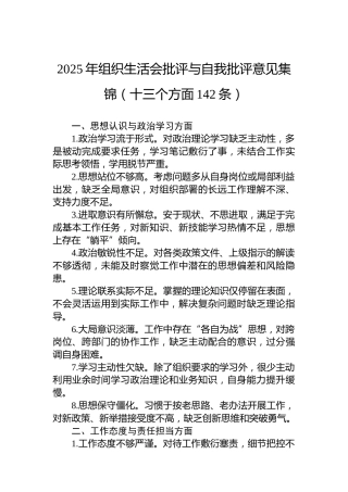 2025年组织生活会批评与自我批评意见集锦（十三个方面142条）