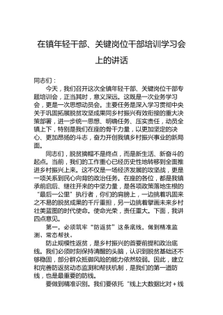 在镇年轻干部、关键岗位干部培训学习会上的讲话