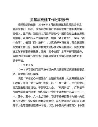 抓基层党建工作述职报告_7