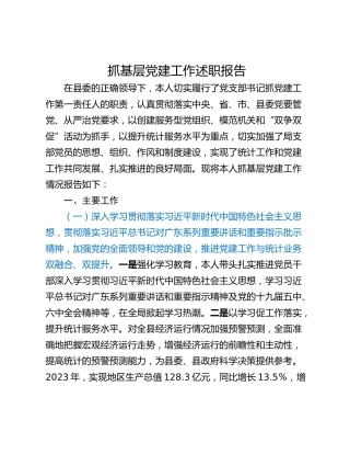 抓基层党建工作述职报告_6