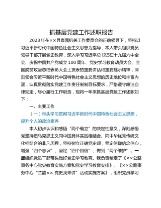 抓基层党建工作述职报告_5