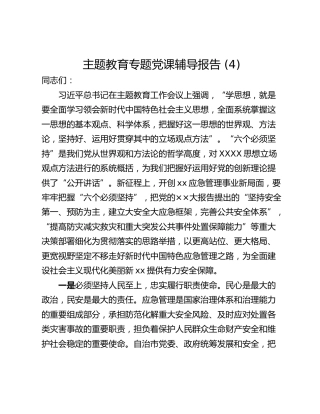 主题教育专题党课辅导报告 (4)