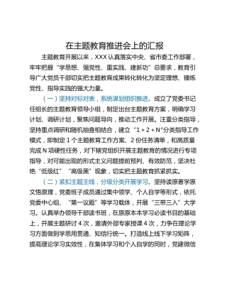 在主题教育推进会上的汇报