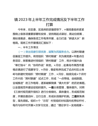 镇2023年上半年工作完成情况及下半年工作打算