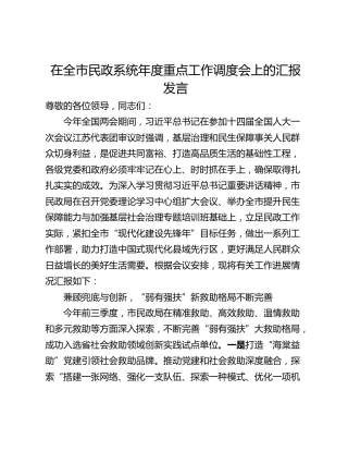 在全市民政系统年度重点工作调度会上的汇报发言
