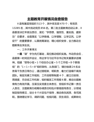 学习贯彻2023年主题教育开展情况报告 (2)