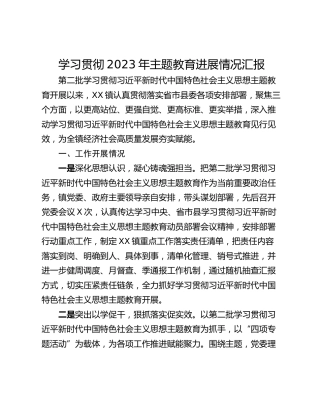 学习贯彻2023年主题教育进展情况汇报