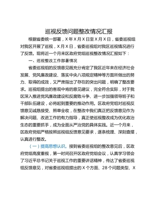巡视反馈问题整改情况汇报