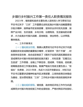 乡镇行乡村振兴工作第一责任人职责情况报告