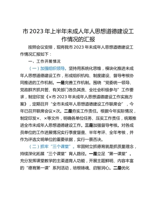 市2023年上半年未成人年人思想道德建设工作情况的汇报