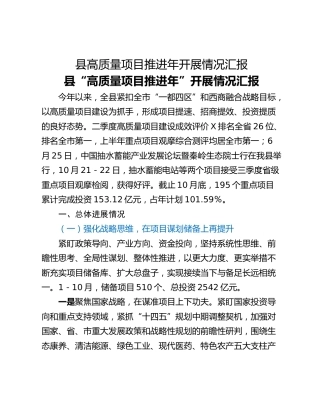 县高质量项目推进年开展情况汇报