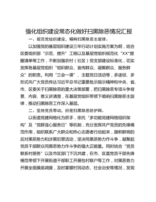 强化组织建设常态化做好扫黑除恶情况汇报