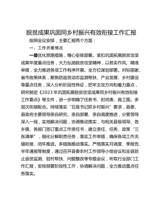 脱贫成果巩固同乡村振兴有效衔接工作汇报