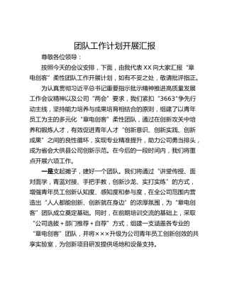 团队工作计划开展汇报