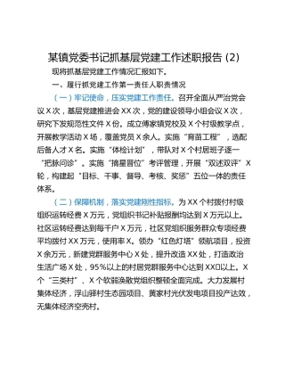 某镇党委书记抓基层党建工作述职报告 (2)_1