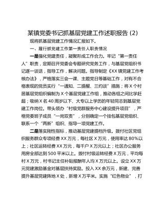 某镇党委书记抓基层党建工作述职报告 (2)