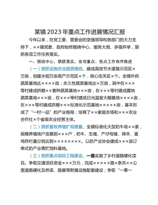 某镇2023年重点工作进展情况汇报