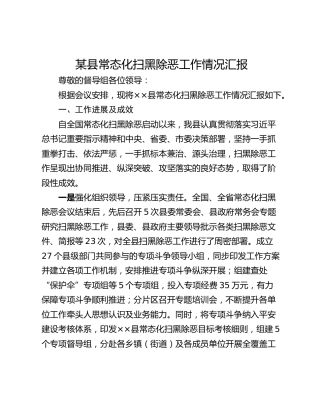 某县常态化扫黑除恶工作情况汇报