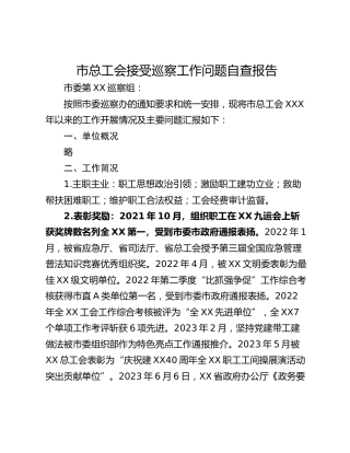 市总工会接受巡察工作问题自查报告