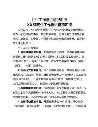 民生工作推进情况汇报