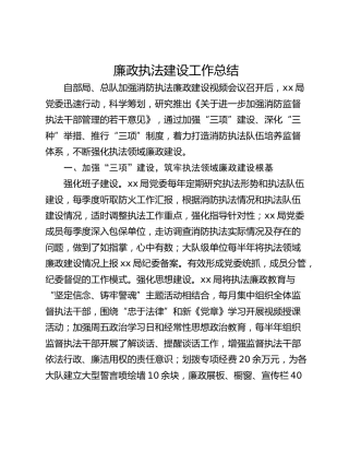 廉政执法建设工作总结