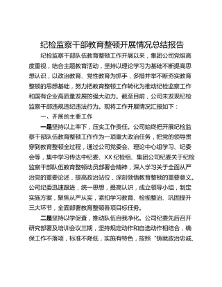 纪检监察干部教育整顿开展情况总结报告