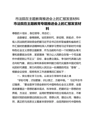 市法院在主题教育推进会上的汇报发言材料