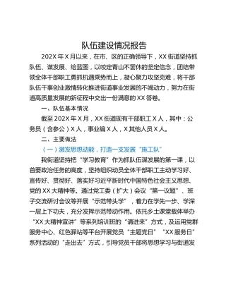 队伍建设情况报告