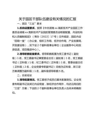 关于园区干部队伍建设有关情况的汇报