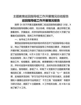 主题教育巡回指导组工作开展情况总结报告