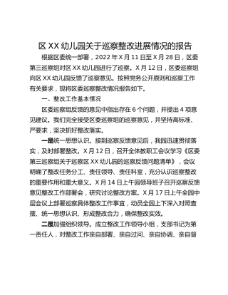 区XX幼儿园关于巡察整改进展情况的报告