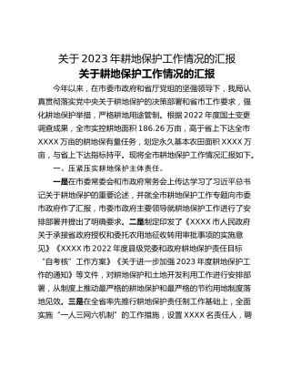 关于2023年耕地保护工作情况的汇报