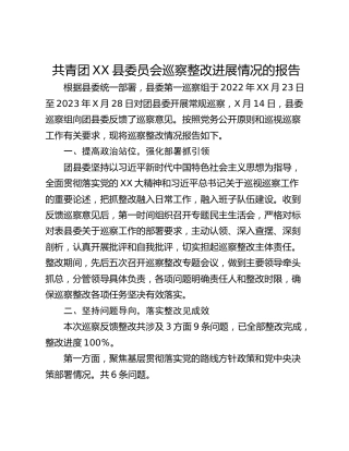 共青团XX县委员会巡察整改进展情况的报告