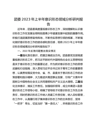 团委2023年上半年意识形态领域分析研判报告