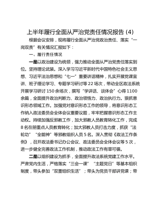 上半年履行全面从严治党责任情况报告 (4)