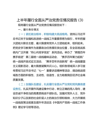 上半年履行全面从严治党责任情况报告 (3)