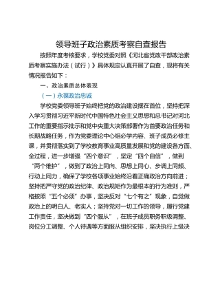 领导班子政治素质考察自查报告